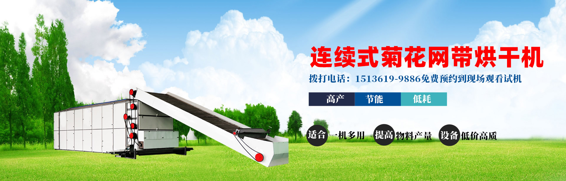 菊花烘干機